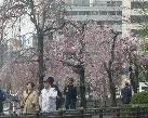 皇居広場前