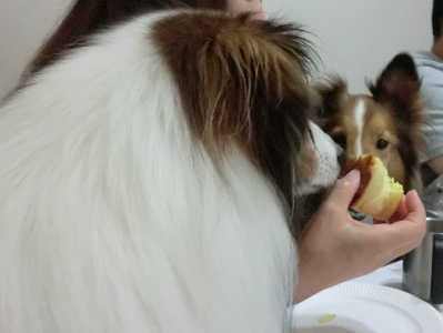 パンでランチ＾＾