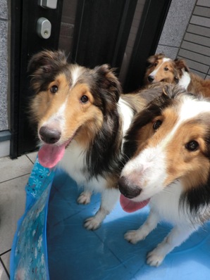 じゃぶじゃぶお水