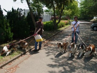 みんなでお散歩