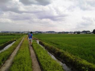 見渡す限り。。