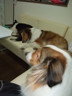 お腹痛いのぉ…