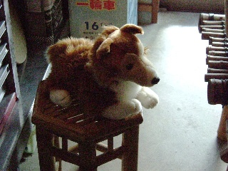 分身レオ君一緒に来たワン♪