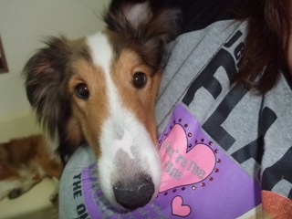 お腹痛いのでしゅ…。。