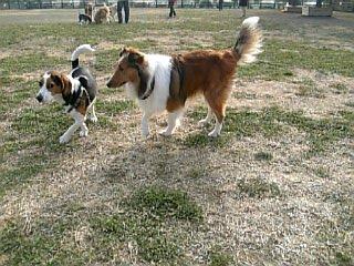 ねぇおいらと遊ぼぉ♪