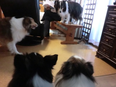 お邪魔しました