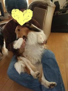 菊さまは美味しい？