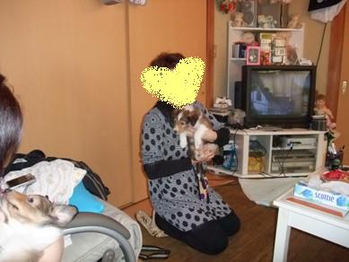 チビーずとモフモフタイム♪