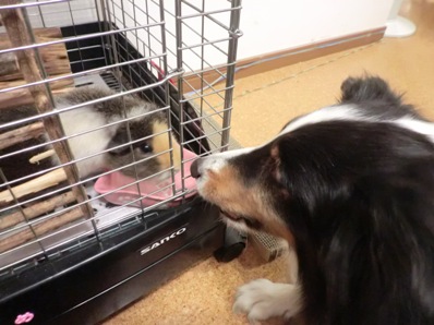 咲ちゃんﾍｯﾁｬﾗ～