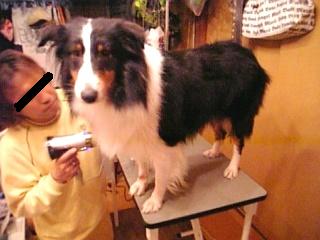 おかーちゃんのカメラが気になるの…