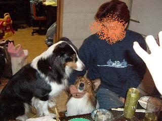 おいしそうな匂いがするぞ～