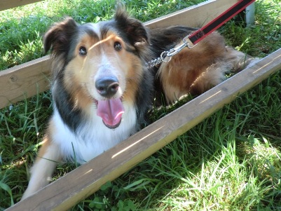 あたち…あっちゅい＞＜