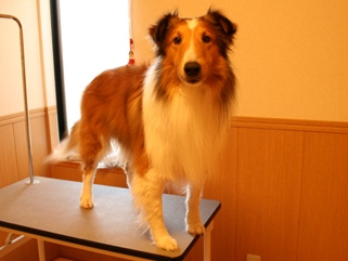 おいら…すってんてん…だぞ。。