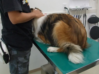 こ…こわいよぅぅ～。。