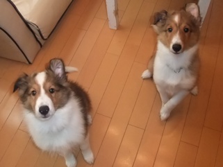 ありがとぉゆうちゃん☆