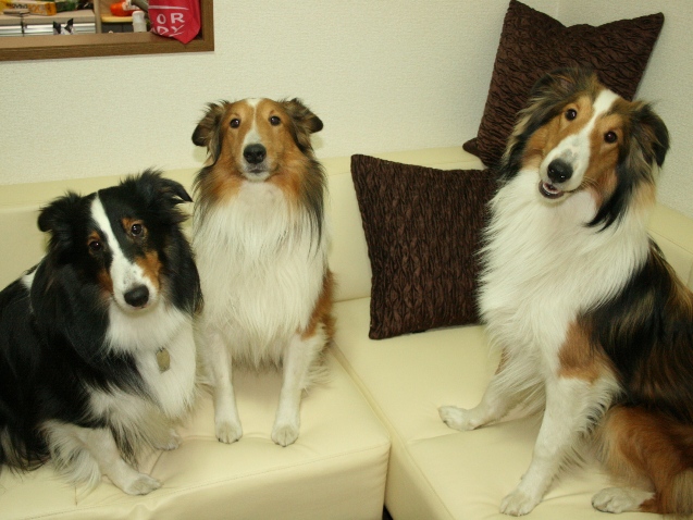 今年も元気いっぱい遊びまくろうっね！！