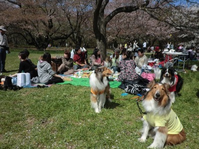 みんな集合ー＾＾