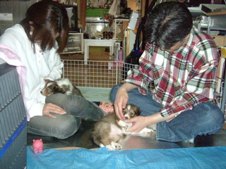 みかちさんと菊さま