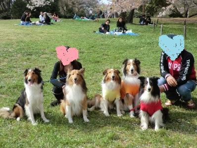 アーリア・キャンディちゃんお久しぶり＾＾