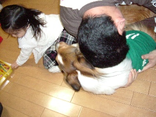 さらに逆襲のnini