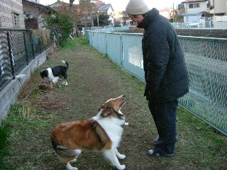 一緒に遊んだりもしたよ♪