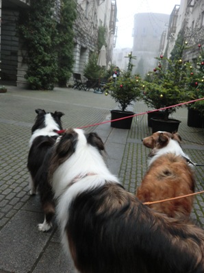 リゾナーレ散策