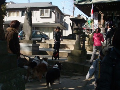 あけおめだわん