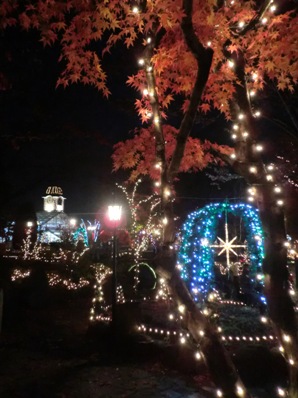 紅葉とイルミネーション