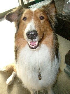 いっぱい走って、いっぱいおやつ食べて満足満足♪