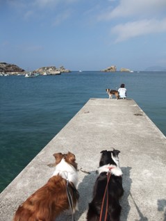 桟橋でのんびり