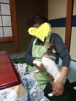 おかぁしゃん、よろしくね♪