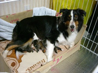 愛しいベイビー嬉しいね