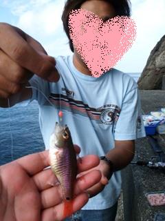 ネンブツダイが大漁。笑