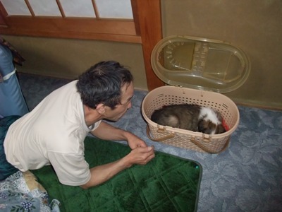 気になっちゃう感じ