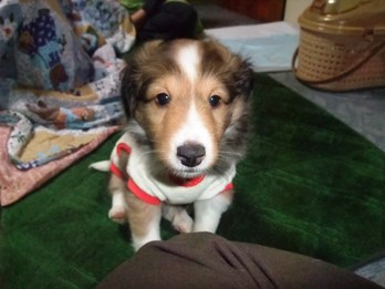 じゅんちゃん、幸せにね。