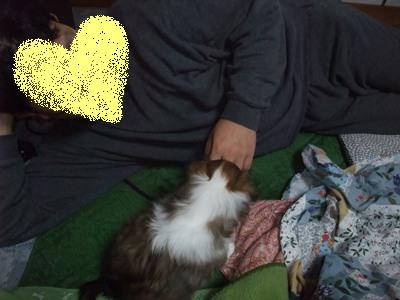 お義兄ちゃんと