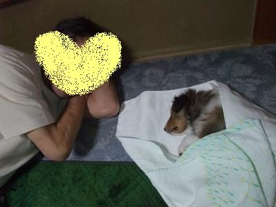 包まれてほっこり。