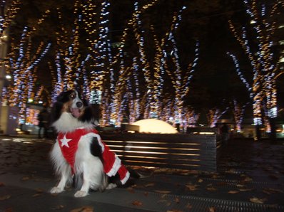 イヴサンタさん