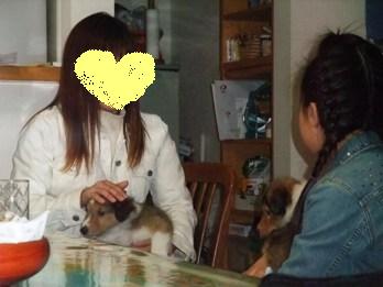 ま～ささんと娘さん