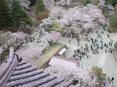 わんずを探せ！！笑