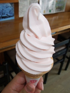 桜ソフトクリーム