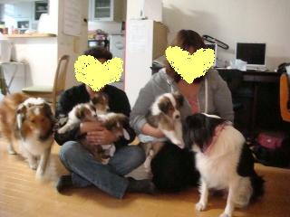 すぴらりす夫婦とわんずとチビーず