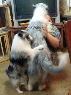 ダイアちゃんキスキスキス