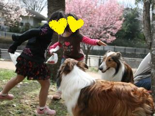 お花見に来たの？