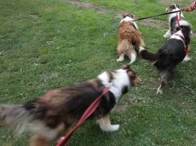 千本松でわらわら