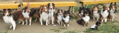 みんなで記念写真