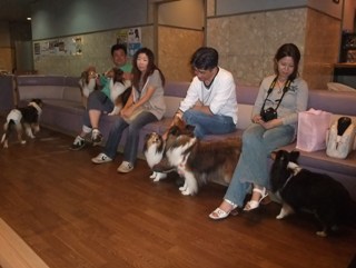 のんびりプチラン