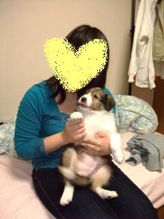 チビーずともおしゃべり。