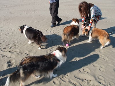 わんずワラワラ～