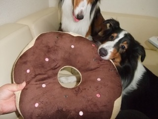 大きなドーナツ、パクリっ